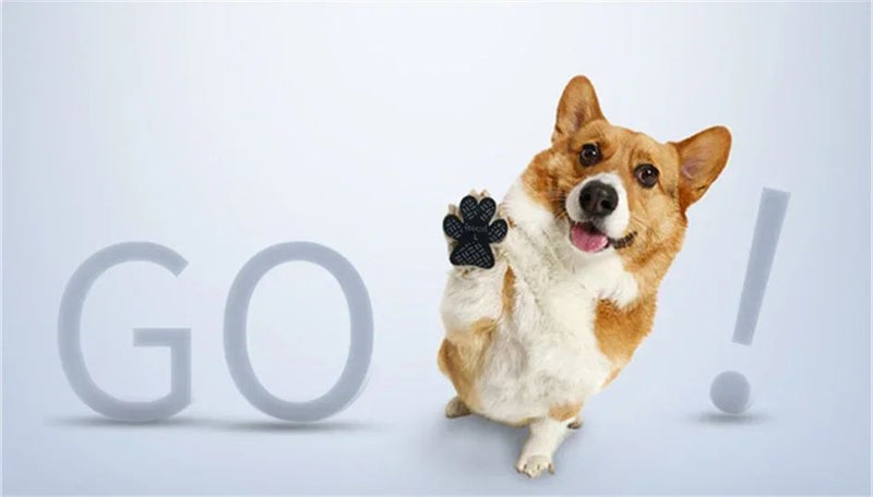 protetor de patas antiderrapantes para cães